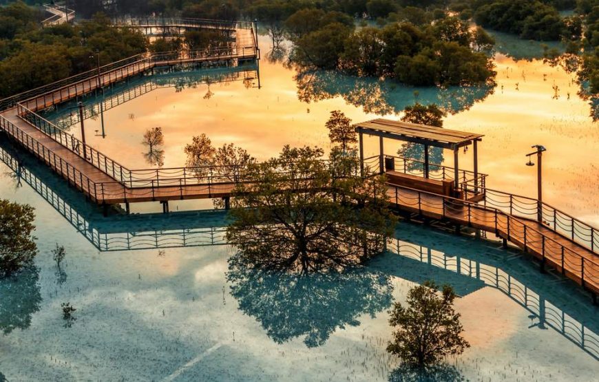 Jubail Mangrove Park