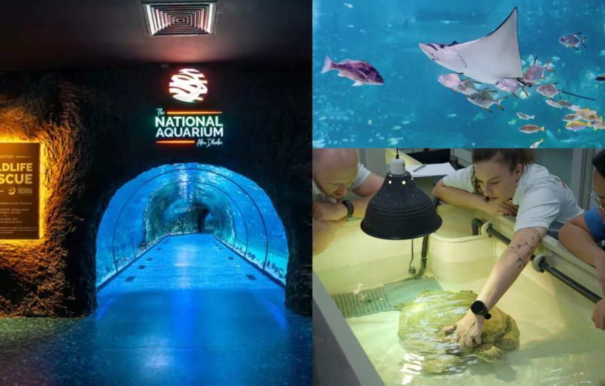The National Aquarium Abu Dhabi