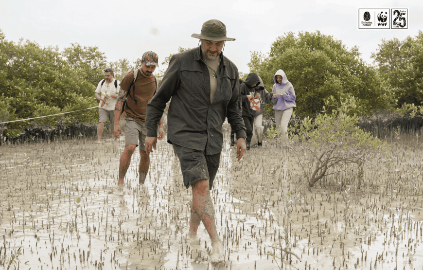 Muddy Mangrove Monitoring with Emirates Nature-WWF (Jubail Island)