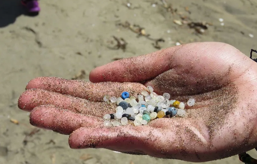 Nurdle Hunt with Emirates Nature-WWF