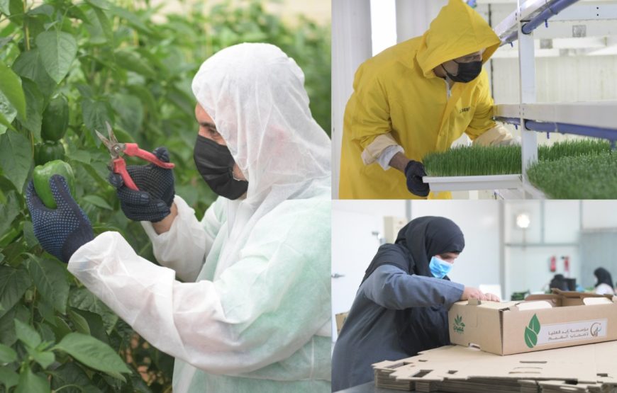 Zayed Agricultural Center for Development and Rehabilitation